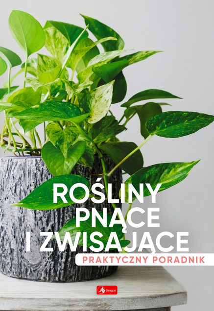 Rośliny pnące i zwisające. Poradnik praktyczny Praca zbiorowa