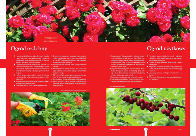 Rok W Ogrodzie Ogród i Uprawa Roślin Atlas Zdjęcia Joanna Mikołajczyk SBM