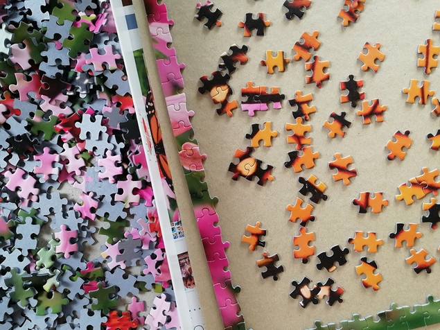 Puzzle Tactic 1000 el. Monarch Butterfly - Motyl Monarcha, Fińska Jakość