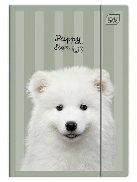 Teczka Z Gumką A4+ Lux UV Puppy Sign Interdruk Zwierzęta