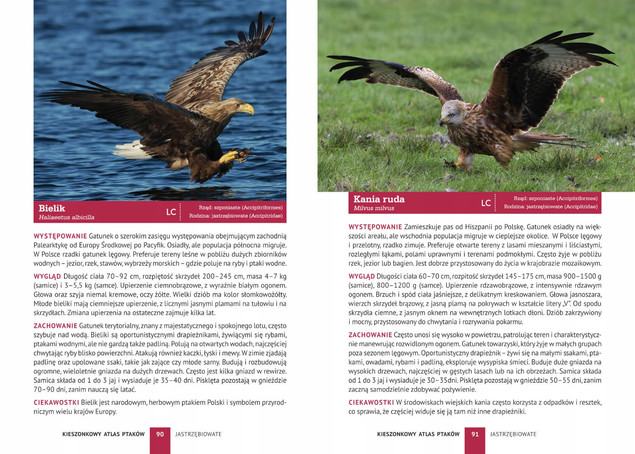 Kieszonkowy Atlas Ptaków Jan Król - 180 Gatunków (SBM)