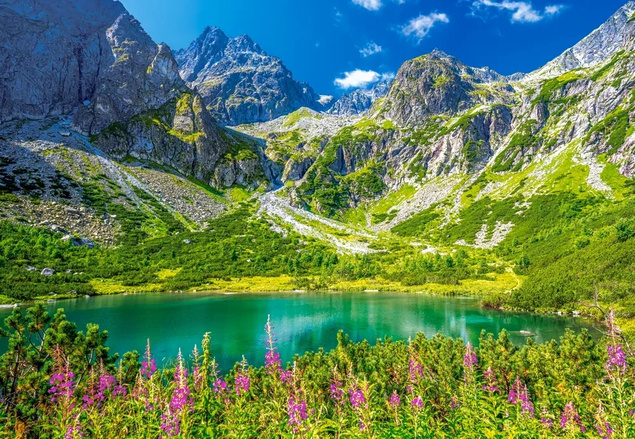 Puzzle 1000 Układanka Tatry ZIELONY STAW Słowacja Krajobraz Góry 9+ Castor