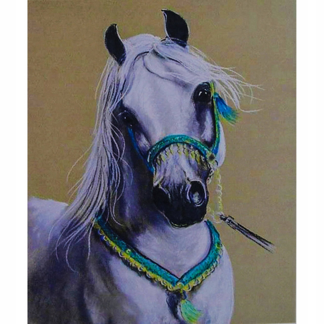 Malowanie Po Numerach Dla Dzieci KOŃ BIAŁY ARAB Zwierzęta 40x50 cm Norimpex