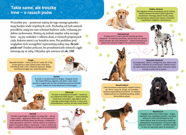 Mała encyklopedia. Psy