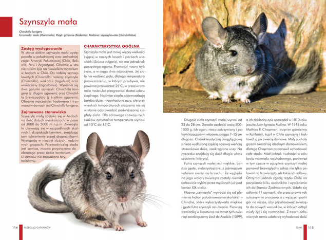 Atlas ZWIERZĄT DOMOWYCH Zwyczaje Wygląd Potrzeby Wymagania SBM