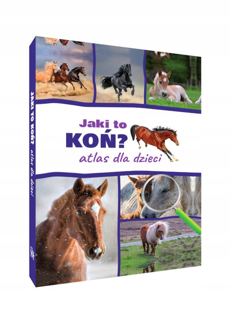 Konie Rasowe Opieka Akcesoria Rasy Poradnik Justyna Felgenau SBM