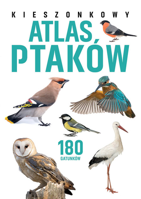Kieszonkowy Atlas Ptaków Jan Król - 180 Gatunków (SBM)