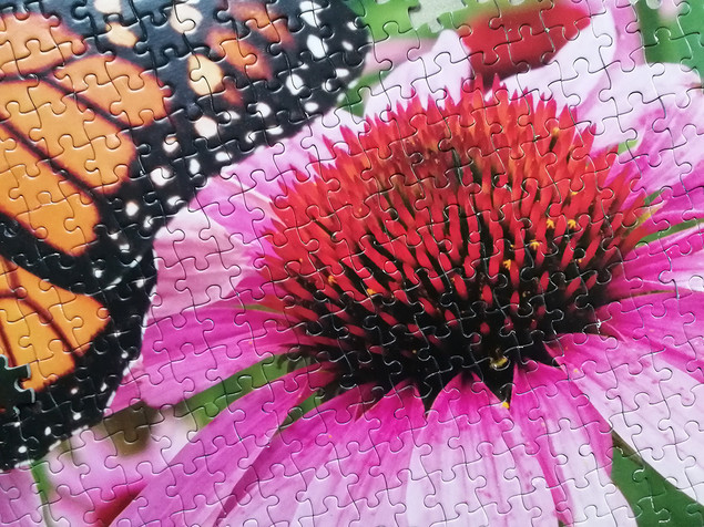 Puzzle Tactic 1000 el. Monarch Butterfly - Motyl Monarcha, Fińska Jakość