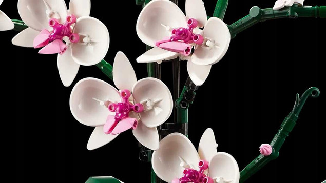 Lego ICONS Orchidea 10311 