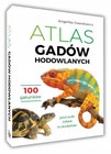 Atlas Gadów Hodowlanych: Jaszczurki, Żółwie, Krokodylowe (100 gatunków) | Angelika Dawidowicz
