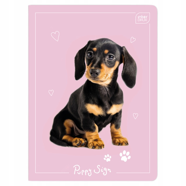 Zeszyt A5 16 kartkowy trzylinia kolorowa pieski kotki Puppy Sign Interdruk