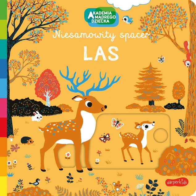 Niesamowity spacer las Nathalie Choux_1