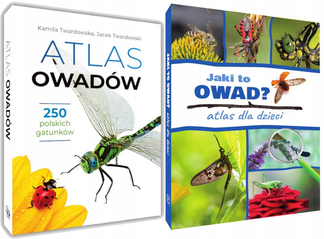 Zestaw Książek o OWADACH Atlas Owadów i Jaki To Owad? SBM (TW)
