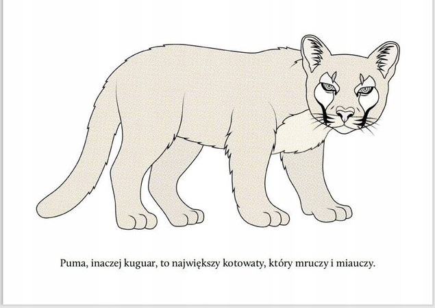 Malowanki wodne. Wyczaruj dzikie koty