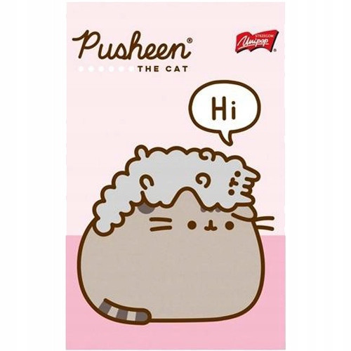 ZESTAW UPOMINKOWY PLASTYCZNY WYPRAWKA KOT PUSHEEN MIĘTOWY