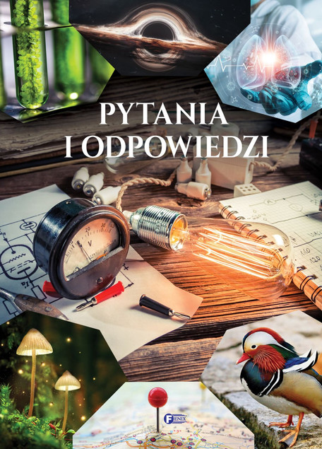 Pytania i odpowiedzi Praca zbiorowa
