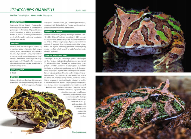 Atlas PŁAZÓW Hodowlanych 100 Gatunków Angelika Dawidowicz SBM