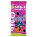 Batonik czarna porzeczka 20 g HELPA