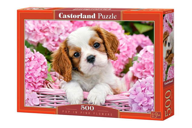 Puzzle 500 Pup In Pink Flowers Castorland