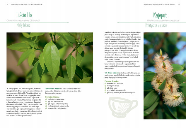 Aromaterapia dla dzieci. Naturalna i szybka pomoc w codziennych sytuacjach