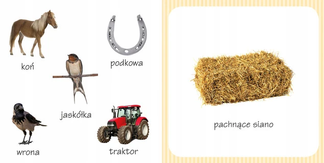 Wnętrze książki zapachowej Co tak pachnie? W zagrodzie - strona z malinami