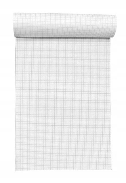Brulion A4 100 Kartek W Kratkę 70g Interdruk x10
