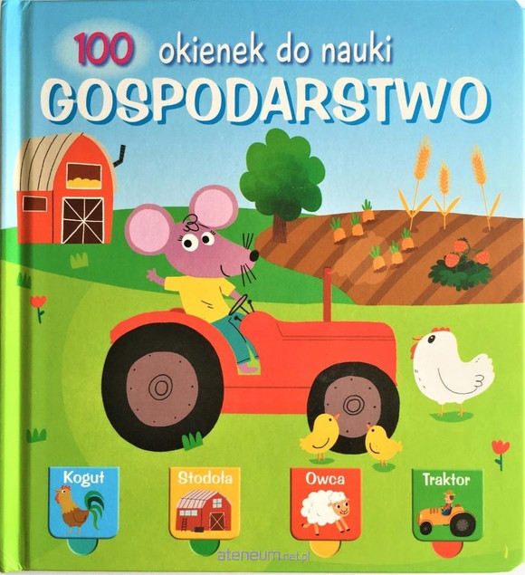 100 okienek do nauki. Gospodarstwo Praca zbiorowa