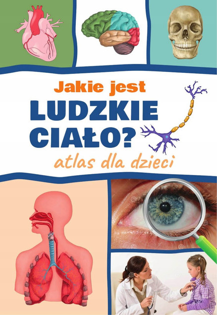 Jakie jest ludzkie ciało? Atlas dla Dzieci Agnieszka Suszczyńska Twarda Oprawa