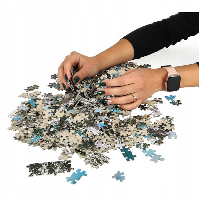 Puzzle 1000 Układanka Krajobraz JEZIORO Zima Góry Las Śnieg 9+ Castor