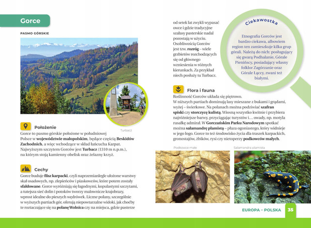 Jakie To Góry? Atlas Encyklopedia Dla Dzieci Monika Płóciennik SBM