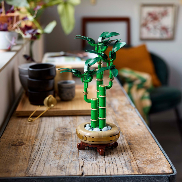 LEGO Botanicals 10344 Bambus Szczęścia – Model Dekoracyjny dla Dorosłych