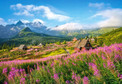 Puzzle 1000 elementów Tatry Hala Gąsienicowa – Castorland
