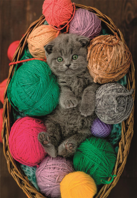 Puzzle 500el 35617 Fluffy Kitten CLEMENTONI 