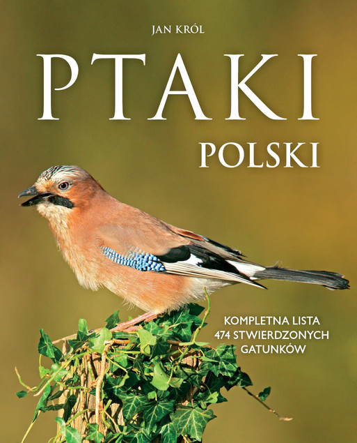 Ptaki Polski Jan Król – Obszerny Atlas i Przewodnik Ornitologiczny