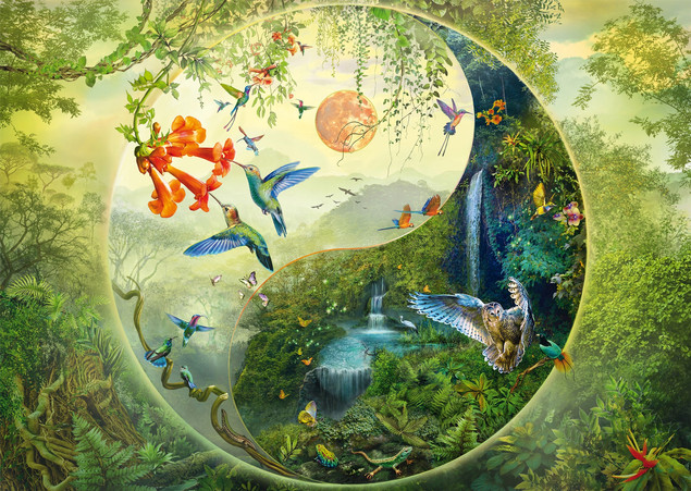 Puzzle 1000 el. Schmidt Premium Quality Silvia Christoph W Lesie Kolibrów Yin & Yang