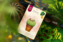 GRA PLANSZOWA DONICZKI LUCKY DUCK GAMES