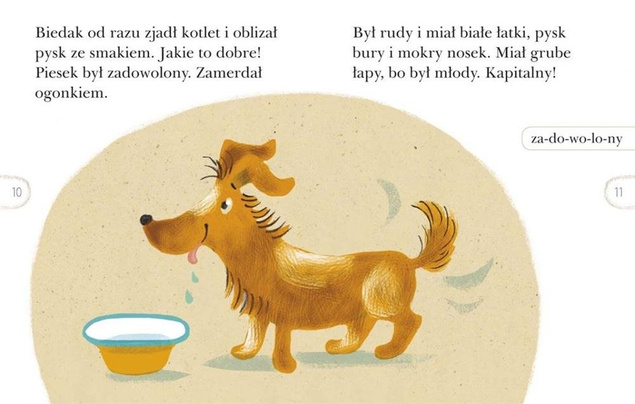 Czytam sobie. Nelka i piesek Fafik. Poziom 2