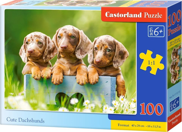 Puzzle 100 Układanka Pieski SZCZENIAKI JAMNIK Szczeniaczki Pies 6+ Castor