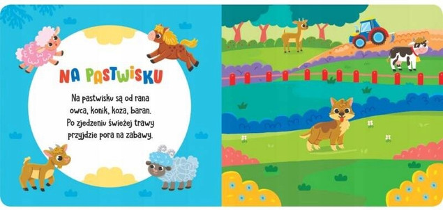 Książeczka sensoryczna z filcowymi naklejkami – W ZAGRODZIE – Aksjomat, 20 elementów, 21x26 cm, 0+
