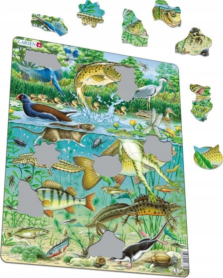 Puzzle Larsen 50 el. Maxi Vijver Junior: Ekosystem Stawu