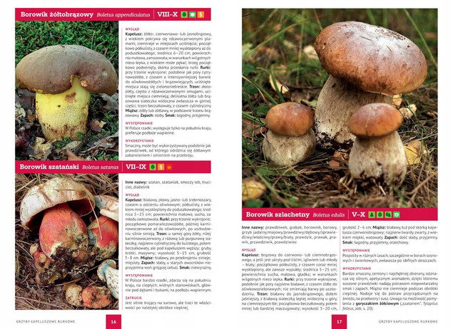 Atlas Grzybów – Patrycja Zarawska