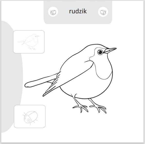 Malowanie-doklejanie. Ptaki