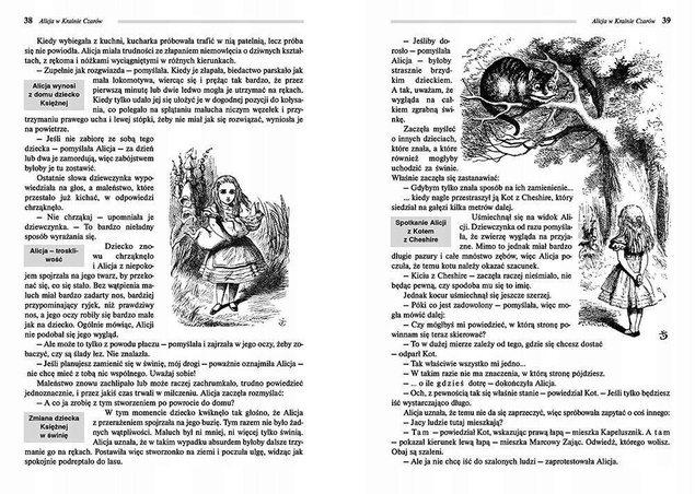 Alicja W Krainie Czarów Lektura Z Opracowaniem Lewis Carroll BR Greg