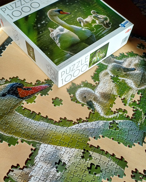 Puzzle 1000 TACTIC Lovers: Łabędź na Jeziorze z Dziećmi