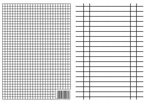 Liniuszek A5 kratka/linia 170g (10szt)