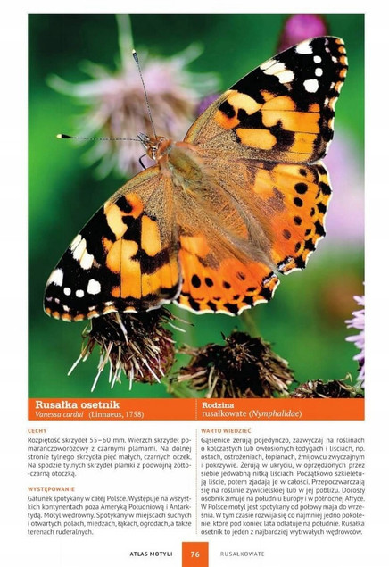 Atlas Motyli Owadów Ptaków – Zestaw 3 Książek