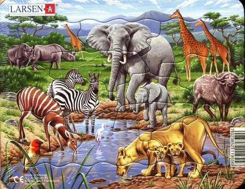 Puzzle Larsen Układanka Ramkowa Zwierzęta Egzotyczne 11 el. dla Dzieci