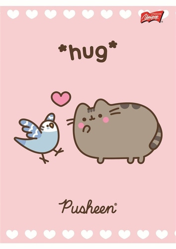 Zeszyt A5 32 Kartki Linkia podwójna Kolor w Trzylinie Kotek Pusheen