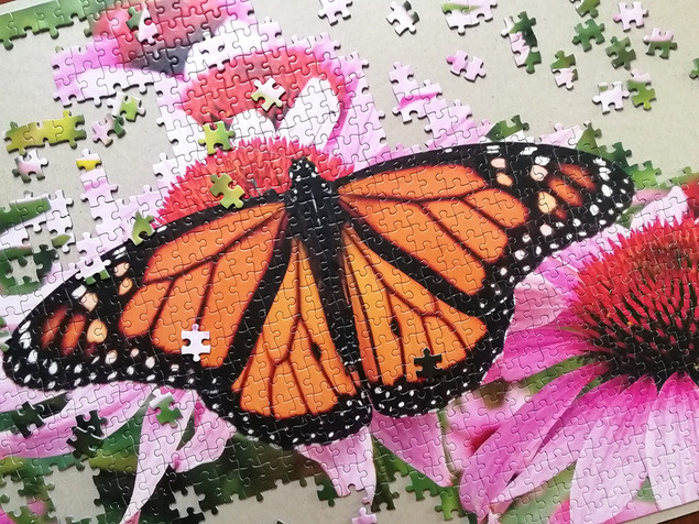 Puzzle Tactic 1000 el. Monarch Butterfly - Motyl Monarcha, Fińska Jakość
