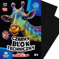 Blok techniczny A4 czarny 10 arkuszy Astra